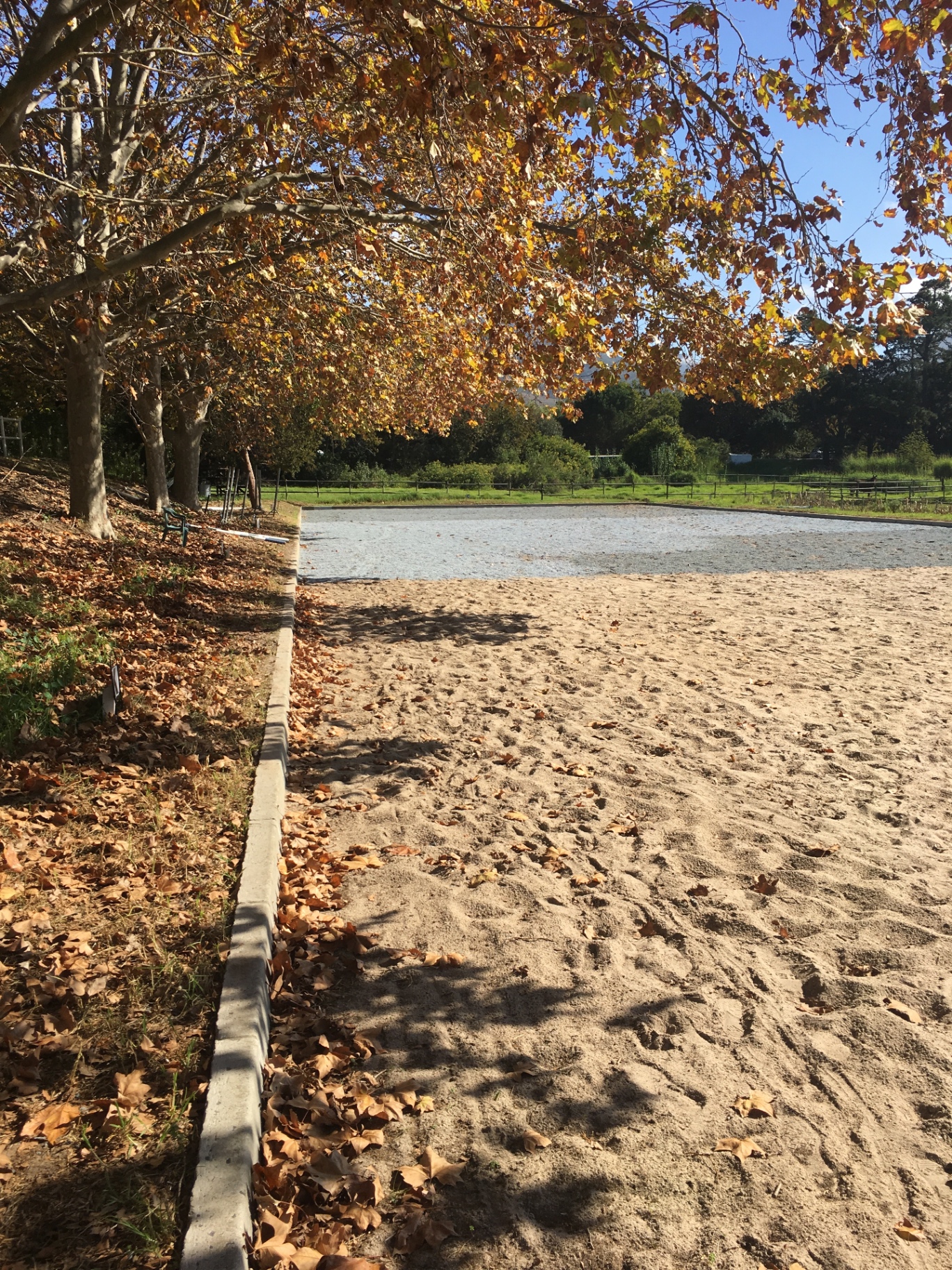 Constantia — autumn